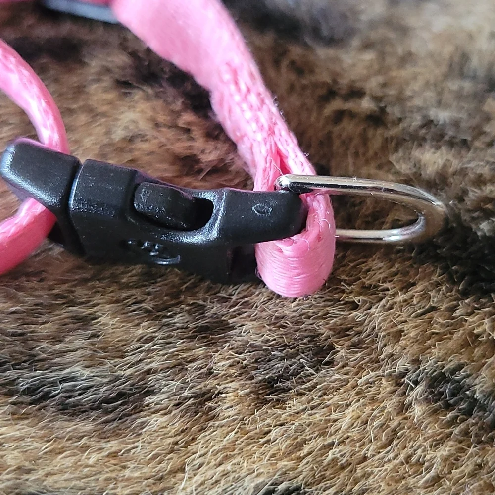 Small pet collar